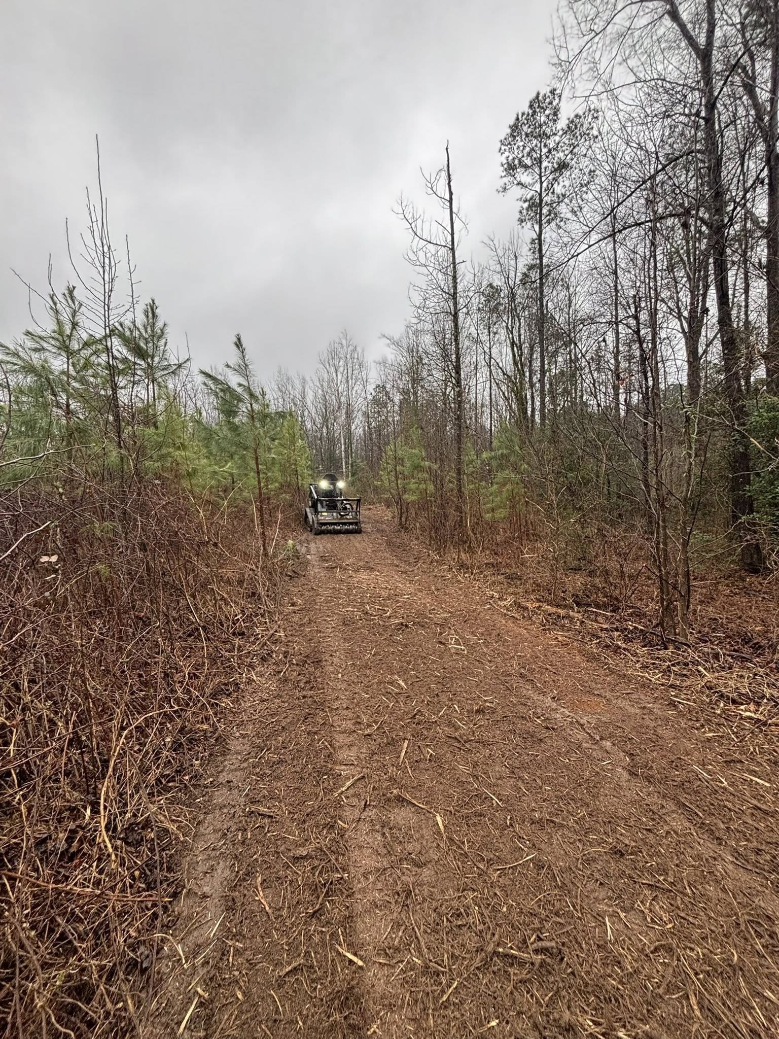 Land clearing with mulching head